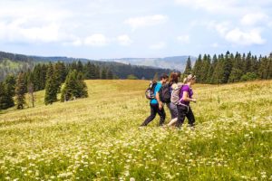 Schwarzwald wandern
